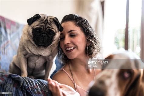 Junges Mädchen hat Spaß mit ihrem Hund zu Hause